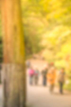 Blurred people and fall season in japan.の写真素材