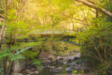 Blurred nature and bridge over the riverの写真素材