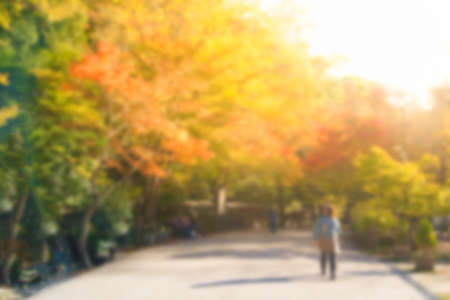 colorful leaf and people in autumn at japanの写真素材
