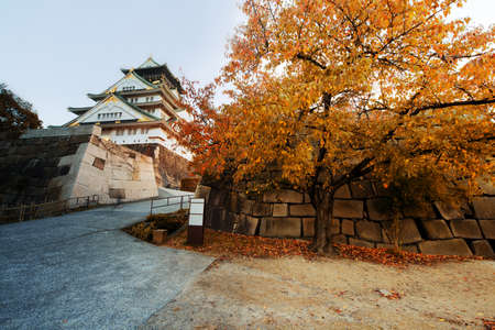 Osaka castle and orange tree at Osaka,Japanのeditorial素材