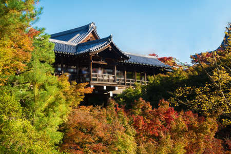 Colorful maple tree at Tofukuji Temple,Japan at Kyoto,Japan.のeditorial素材