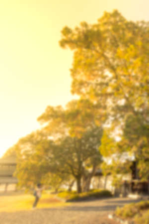 Blurred nature and traveller photograph a tree.の写真素材