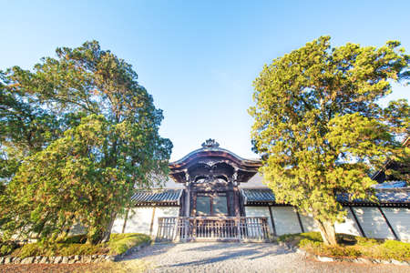 Old temple and big tree and blue skyのeditorial素材