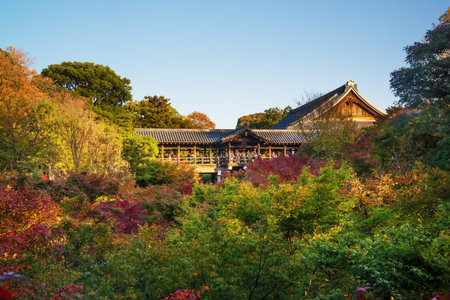 Colorful Maple tree and Tofukuji temple.のeditorial素材