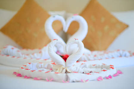 Towel looklike swan in luxury hotelの写真素材