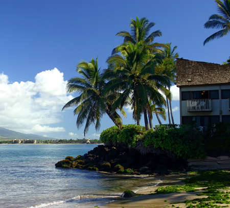 House on the Edge of the Ocean in Kihei, Hawaiiの写真素材
