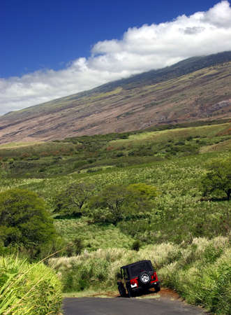 Cruising Maui's Mountain Roadsの写真素材