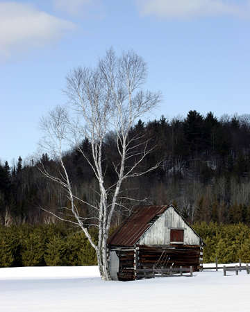 Little Old Barnの写真素材