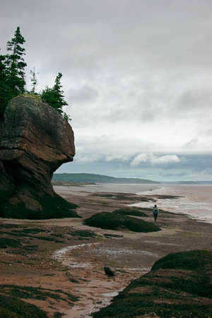 Low Tideの写真素材