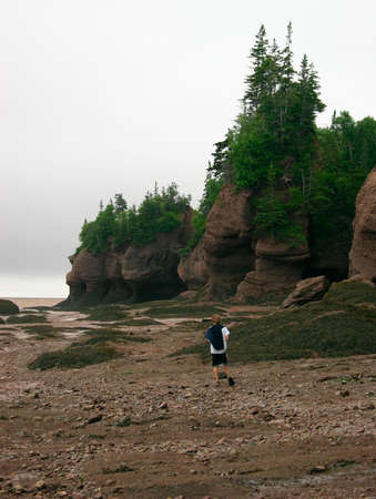 Very Low Tideの写真素材