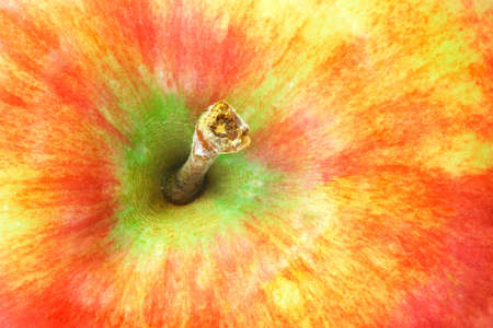 Appleの写真素材