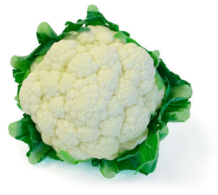 Cauliflowerの写真素材