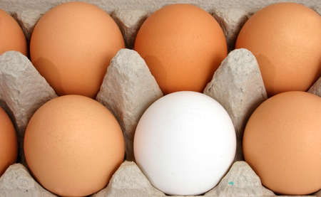 Eggs 2の写真素材