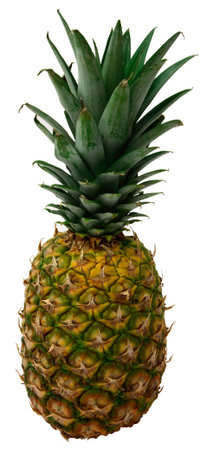 Pineapple