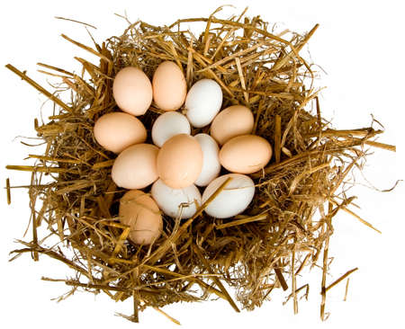 Eggs in a Nestの写真素材