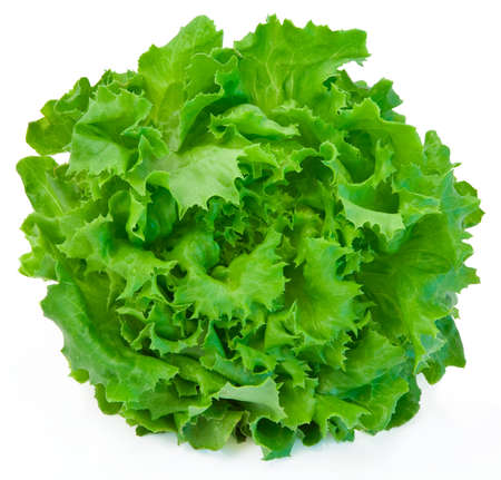 Lettuceの写真素材