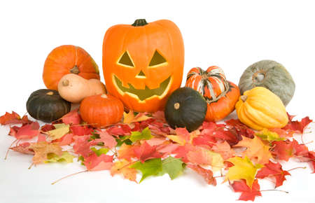 Halloween Arrangementの写真素材
