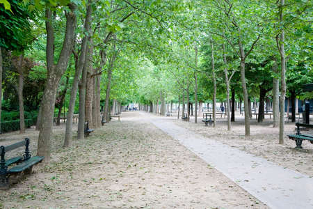 Jardin du Luxembourg, Paris, Franceの写真素材