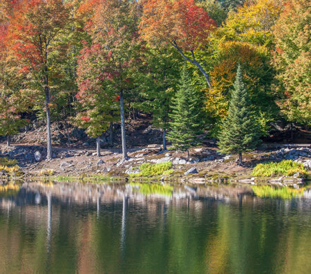 The colors of autumn Quebec, Canada