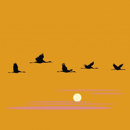 crane pack and sunset vector illustrationのイラスト素材
