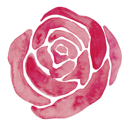 Watercolor rose illustrationのイラスト素材