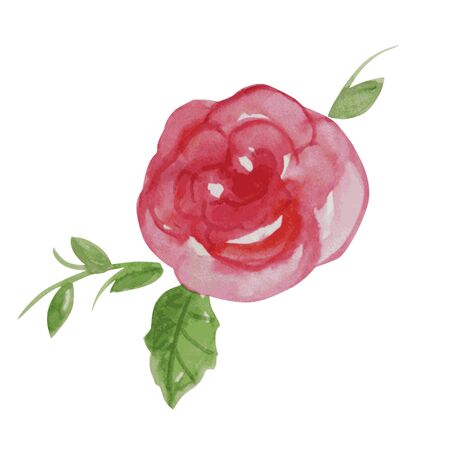 Watercolor roseのイラスト素材