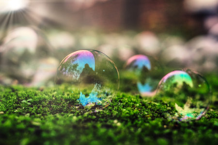 Bubbles resting on green moss under sunlight in a serene outdoor setting during the afternoon