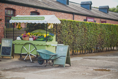 Farmers market cart displays fresh produce in early morning light