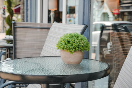 Small green plant on a round glass table outside a cafe in the city during daytimeの写真素材