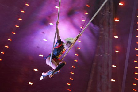 Daring trapeze artist performing acrobatic stunts in a colorful circus tent during an evening showの写真素材