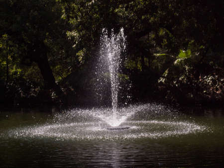 Fountain in a park in Sevilleの写真素材