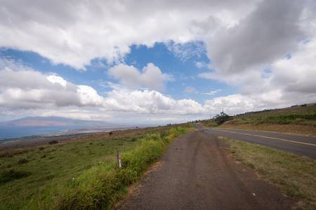Roadside Pastureの写真素材