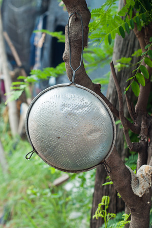 Colander on a tree.の写真素材