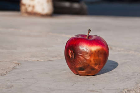 Rotten apple on concrete wall.Soft focus.の写真素材