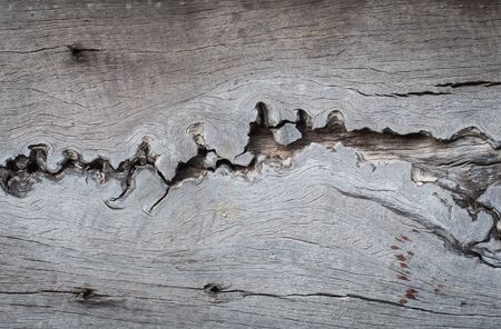 Texture of old wooden background,abstract detail.の写真素材