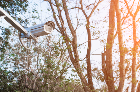 Closed circuit camera in park,selective focus.の写真素材