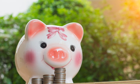Piggy bank and coin and green background,selective focus.の写真素材