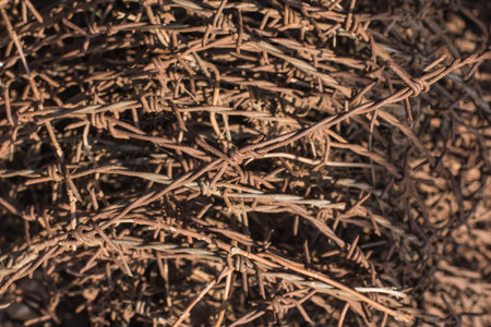 Roll of old barbed wire and rustic,selective focus.の写真素材