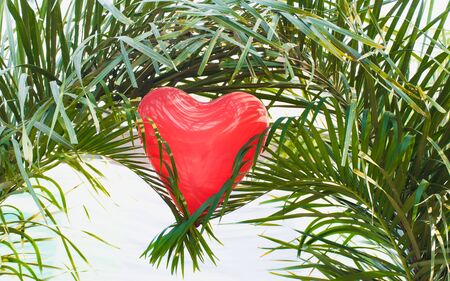 Heart shape balloon on green leaves,soft focus.の写真素材