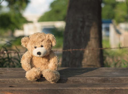 Lonely Teddy bear sitting on wood chair in garden,soft focus.の写真素材
