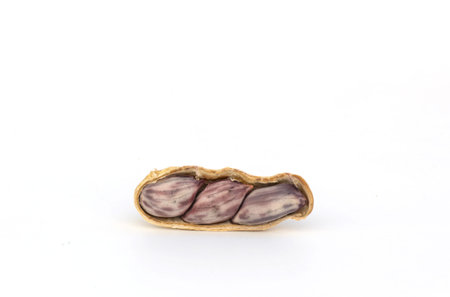 Peanut on white background,copy space.の写真素材