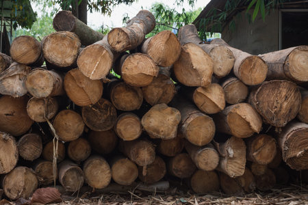 Pile of stack firewood,outdoor shoot,selective focus.