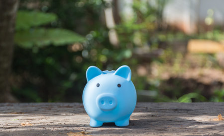Piggy bank on wooden table,save money concept,soft focus.の写真素材