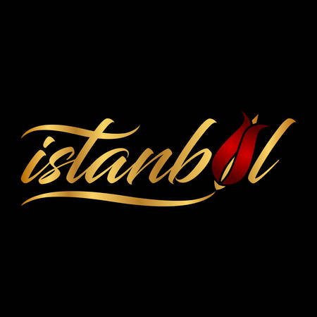 istanbul logo vector illustrationのイラスト素材