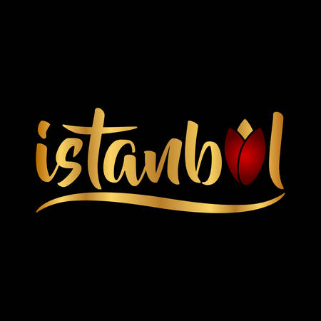 istanbul logo vector illustrationのイラスト素材