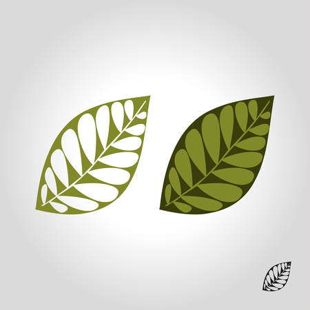 leaf logo vector illustrationのイラスト素材