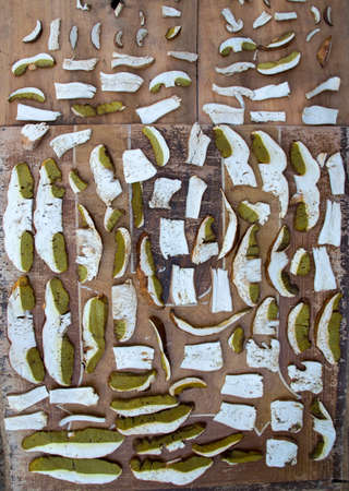 Boletus edulis mushroom cut for droughting.の写真素材