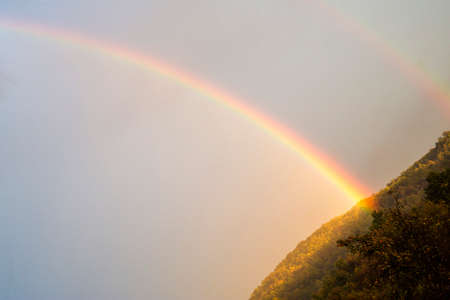 Beautiful rainbow over trees.の写真素材