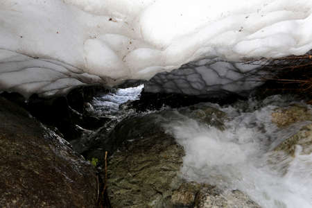A spring flowing under the snow.の写真素材