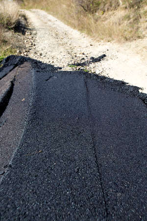 Asphalt road in the woods.の写真素材